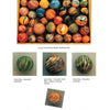 Marble Mania by Schiffer Publishing, Ltd. features a wooden box of colorful marbles above four close-ups with swirled patterns, each labeled for identification and values from $100–$500—perfect for marble collecting fans.