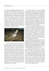Chapter 10 of "The Real Ryman Setter: A History with Stories from the Appalachian Grouse Covers" (Schiffer Publishing, Ltd.) explores grouse hunting with the Ryman English setter. The two-column page features a small, centered grouse photo below.
