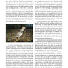 Chapter 10 of "The Real Ryman Setter: A History with Stories from the Appalachian Grouse Covers" (Schiffer Publishing, Ltd.) explores grouse hunting with the Ryman English setter. The two-column page features a small, centered grouse photo below.