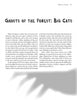 A magazine page titled New England Graveside Tales from Schiffer Publishing, Ltd. features stories of big cats in America, with a shadowy paw print hinting at haunted legends and cryptid mysteries from New England.