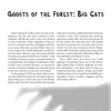 A magazine page titled New England Graveside Tales from Schiffer Publishing, Ltd. features stories of big cats in America, with a shadowy paw print hinting at haunted legends and cryptid mysteries from New England.