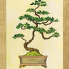 An illustrated bonsai tree with green leaves in a rectangular pot is shown on a light background with a wooden frame. A red label at the bottom reads "BONSAI." Inspired by the Tree of Life Oracle from Schiffer Publishing, Ltd.