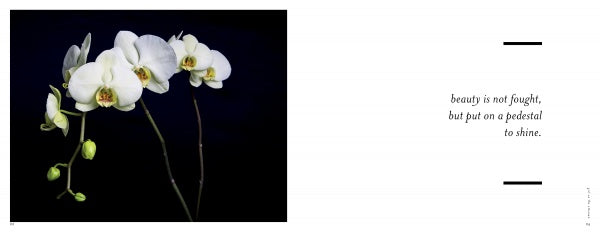 A cluster of white orchids with yellow centers, inspired by modern arrangements, appears against black on the left; on the right, text reads: beauty is not fought, but put on a pedestal to shine. From Perishable Poetics by Schiffer Publishing, Ltd.