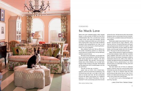 A living room styled with patterned furniture, green curtains, wall art, and a black-and-white rescue dog on a round ottoman, as featured in "At Home with Dogs" by Schiffer Publishing, Ltd.; the right page shows the article "So Much Love.