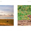 Left: A railroad crossing sign stands in a field with hay bales, echoing prairie scenes. Right: Three prairie dogs sit on dirt with grass. From "Back Roads of the Great Plains" by Schiffer Publishing, Ltd.
