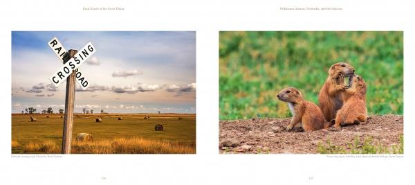 Left: A railroad crossing sign stands in a field with hay bales, echoing prairie scenes. Right: Three prairie dogs sit on dirt with grass. From "Back Roads of the Great Plains" by Schiffer Publishing, Ltd.