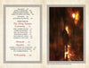 Two pages from Vampire Evolution by Schiffer Publishing, Ltd.: the left lists chapters and pages on vampire folklore; the right depicts a shadowy figure in a misty, dimly lit alley at night beneath a glowing streetlamp.
