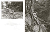 Peak of Perfection" by Schiffer Publishing, Ltd. features black-and-white fine art nudes of a woman posing on rocks and in a forest, capturing timeless elegance in every sensual photograph.