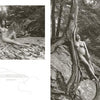 Peak of Perfection" by Schiffer Publishing, Ltd. features black-and-white fine art nudes of a woman posing on rocks and in a forest, capturing timeless elegance in every sensual photograph.