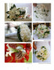 A collage from “Bridal Flowers” by Schiffer Publishing, Ltd. displays five elegant bridal bouquets of white blooms and greenery, featuring a bride in red with white calla lilies and classic round arrangements of roses and mixed flowers.