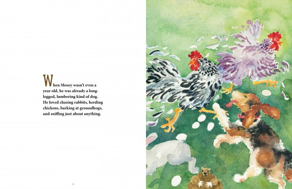 A watercolor scene from Mosey's Field by Schiffer Publishing, Ltd. shows a dog chasing chickens across the countryside, joined by another dog and a groundhog. The left page has a short text—ideal for children’s books set in Mosey's Field.