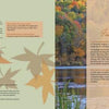 A two-page spread from "Vermont" by Schiffer Publishing, Ltd.: the left page shows brown and orange leaf graphics with publishing info; the right page overlays text on a lake scene with fall trees and a hillside reflected in the water.