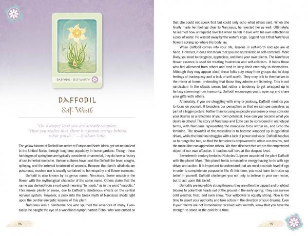 A spread from The Herbal Healing Deck by Schiffer Publishing, Ltd. shows a daffodil illustration with text on self-worth and explores the daffodil’s symbolism in herbal medicine and its connection to self-worth.