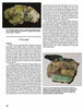 The Schiffer Publishing, Ltd. book "Introduction to Radioactive Minerals" features labeled photos of autunite and torbernite with text on the history of uranium ore and radioactive minerals in Europe, especially England.