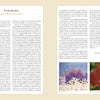 Two pages from Inspired by Endangered Species (Schiffer Publishing, Ltd.) show Kim O’Konek Beck, PhD’s foreword. Dense text appears above vibrant paintings—like white coral and an orangutan—emphasizing eco-awareness and endangered species.