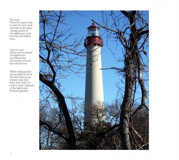 The Cape May Lighthouse from Schiffer Publishing, Ltd. stands tall with a red top above leafless trees and dark branches, set against a clear blue sky—a vivid tribute to lighthouse history.