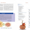 In "Wax on Crafts Holiday Projects" by Schiffer Publishing, Ltd., the spread features a contents page with a painted ornament right, acknowledgments, testimonial, and two wax-art flowers left, all on white with colorful decorative wax accents.