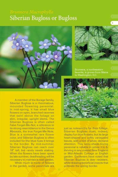A page from "Coastal Garden Plants" by Schiffer Publishing, Ltd. highlights Siberian Bugloss with photos of its blue flowers and veined, heart-shaped leaves, plus info on its looks, growth, and perennial use in northern coastal gardens.