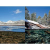 Split image from "Clarity" by Schiffer Publishing, Ltd.: crystal-clear Lake Tahoe waters reveal rocks and logs below; snowy mountains and blue sky on the left, pine trees along a snowy shore on the right, above and below waterline.