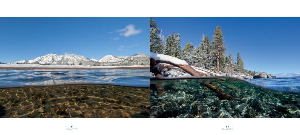 Split image from "Clarity" by Schiffer Publishing, Ltd.: crystal-clear Lake Tahoe waters reveal rocks and logs below; snowy mountains and blue sky on the left, pine trees along a snowy shore on the right, above and below waterline.