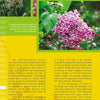 A close-up of "Coastal Garden Plants" by Schiffer Publishing, Ltd., showcasing captivating garden plants and highlights from renowned botanical gardens.