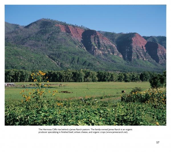 The "Durango Perspectives" book by Schiffer Publishing, Ltd. features scenes of green pastures with wildflowers, wooden fences, grazing cattle, and the San Juan range’s layered trees and red rocks beneath a partly cloudy sky.