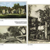 Greetings From Pasadena by Schiffer Publishing, Ltd. features three vintage postcards of historic Pasadena hotels, each with captions and descriptions highlighting classic architecture amidst tree-filled gardens. Photos are in black-and-white and color-tinted styles.