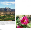 Tucson Perspectives by Schiffer Publishing, Ltd.: Features a landscape photo of a Tucson golf course with mountain and Sonoran Desert views, alongside a close-up of a vivid pink cholla cactus blossom.