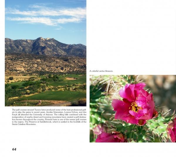 Tucson Perspectives by Schiffer Publishing, Ltd.: Features a landscape photo of a Tucson golf course with mountain and Sonoran Desert views, alongside a close-up of a vivid pink cholla cactus blossom.