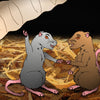 Two cartoon rats, one gray and one brown, stand on straw facing each other as a large worm hangs above. "The Rat Tank" by Schiffer Publishing, Ltd. is perfect for early readers ages 5-8 who love charming friendship stories.