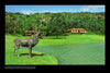 A bronze deer statue by a pond decorates a green lawn, with a large wooden house inspired by The Art of Brazilian Architecture from Schiffer Publishing, Ltd., and trees in the background under a partly cloudy sky.
