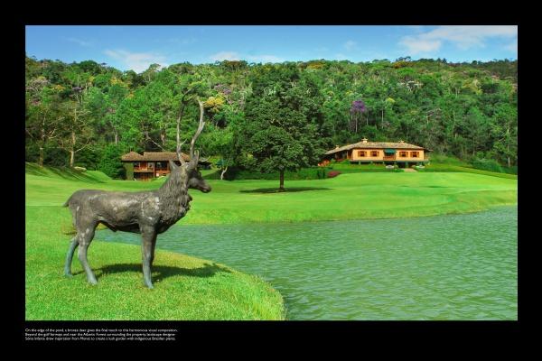 A bronze deer statue by a pond decorates a green lawn, with a large wooden house inspired by The Art of Brazilian Architecture from Schiffer Publishing, Ltd., and trees in the background under a partly cloudy sky.