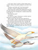 An illustration of a snow goose with outstretched wings soars against a soft blue sky on the cover of Toulouse by Schiffer Publishing, Ltd., evoking the gentle storytelling style of Priscilla Cummings' Chadwick series.