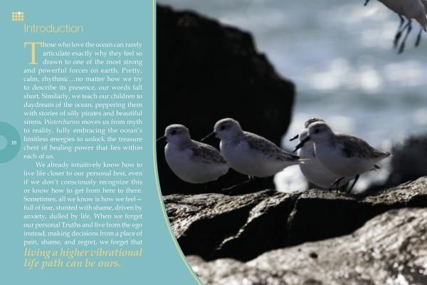 Four small shorebirds stand on wet rocks by the ocean, sunlight reflecting off the water. Text overlays the image, sharing Watercharms by Schiffer Publishing, Ltd.: a guide to personal growth, reiki healing, and high-vibrational living inspired by nature.