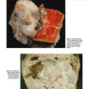 Two mineral specimens from The Collector's Guide to Silicate Crystal Structures by Schiffer Publishing, Ltd.: a salmon-pink prismatic silicate crystal with inclusions, and a round rock with white radiating crystals—perfect for collectors or crystallography study.