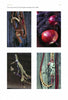 Four images showcase "Braiding Rawhide Horse Tack" by Schiffer Publishing, Ltd., featuring decorative ropes, beads, and natural elements like onions on rustic wooden backgrounds, capturing the essence of traditional braiding craftsmanship.