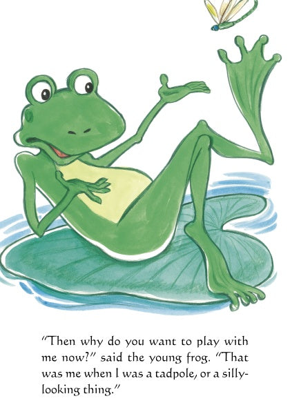 An illustrated green frog lounges on a lily pad with a butterfly overhead. From Schiffer Publishing, Ltd., "The Silly Looking Thing" features the text: “Then why do you want to play with me now?” said the young frog. Perfect for children’s books.