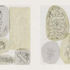 Classic Tattoo Stencils 2 by Schiffer Publishing, Ltd. features sketches of traditional tattoos—roses, banners, and snakes—on paper scraps and tracing paper, recalling vintage mid-20th-century stencils, arranged on a light background.