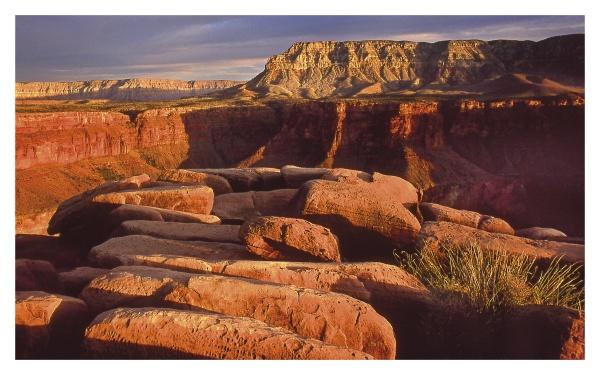 In the Chasms of Water, Stone, and Light by Schiffer Publishing, Ltd. captures red sandstone boulders and dramatic mesas in warm sunlight—ideal inspiration for canyon explorers near the Grand Canyon, with desert grasses throughout.