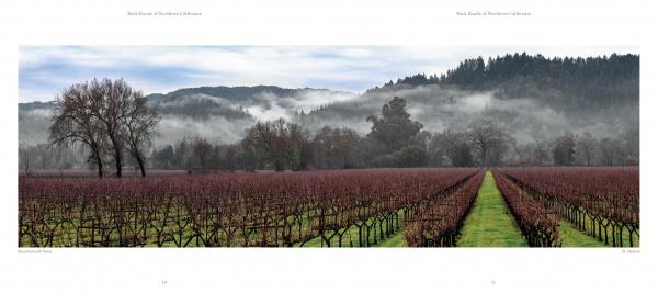 A vineyard with leafless grapevines and bare trees extends into misty hills—evoking the classic scenery featured in "Back Roads of Northern California" by Schiffer Publishing, Ltd.