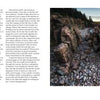 A rocky shoreline meets calm ocean waters at Acadia National Park in Schiffer Publishing, Ltd.'s "Embracing Light." Large rock formations rise at right, with pebbles and stones on Mount Desert Island; text appears on the left page.