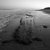 Sea Level Rising," from Schiffer Publishing, Ltd., features a black and white beach photo at low tide. Deep grooves in wet sand—300-year-old salt marsh hay wagon tracks—reflect the impact of rising sea levels.