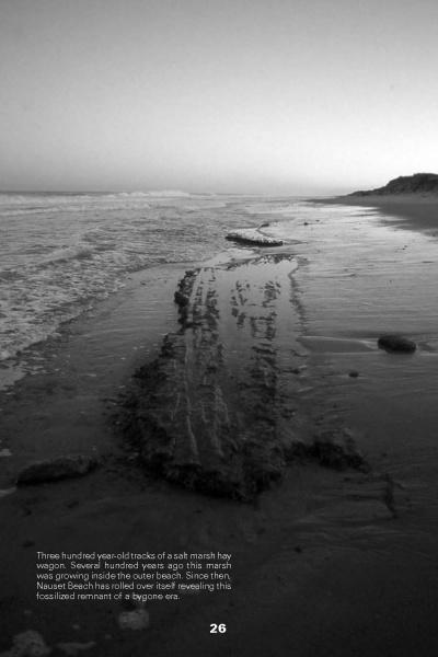 Sea Level Rising," from Schiffer Publishing, Ltd., features a black and white beach photo at low tide. Deep grooves in wet sand—300-year-old salt marsh hay wagon tracks—reflect the impact of rising sea levels.
