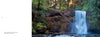 A waterfall flows over a mossy cliff amid lush trees in Willamette Valley, Oregon, with logs on rocky edges and water pooling below. From Schiffer Publishing, Ltd.
