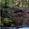 A waterfall flows over a mossy cliff amid lush trees in Willamette Valley, Oregon, with logs on rocky edges and water pooling below. From Schiffer Publishing, Ltd.