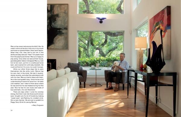 A man relaxes in a sunlit, modern living room with large windows, holding his rescue dog. Surrounded by art and contemporary decor, he enjoys the scene from "At Home with Dogs" by Schiffer Publishing, Ltd.