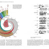 A diagram displays Earth's geologic time spiral, labeling eras, periods, and major events. On the right, black and white illustrations from Schiffer Publishing, Ltd.'s "Stromatolites" show fossilized organisms labeled by their geologic eras.