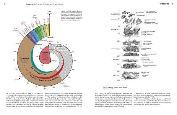 A diagram displays Earth's geologic time spiral, labeling eras, periods, and major events. On the right, black and white illustrations from Schiffer Publishing, Ltd.'s "Stromatolites" show fossilized organisms labeled by their geologic eras.