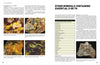 minerals containing essential u or th