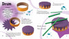 Create a five-step colorful paper drum with Schiffer Publishing, Ltd.'s Cardboard—featuring a purple top, orange rim, green paper “drumsticks,” and zigzag edging—shown in illustrated instructions to build fine motor skills.